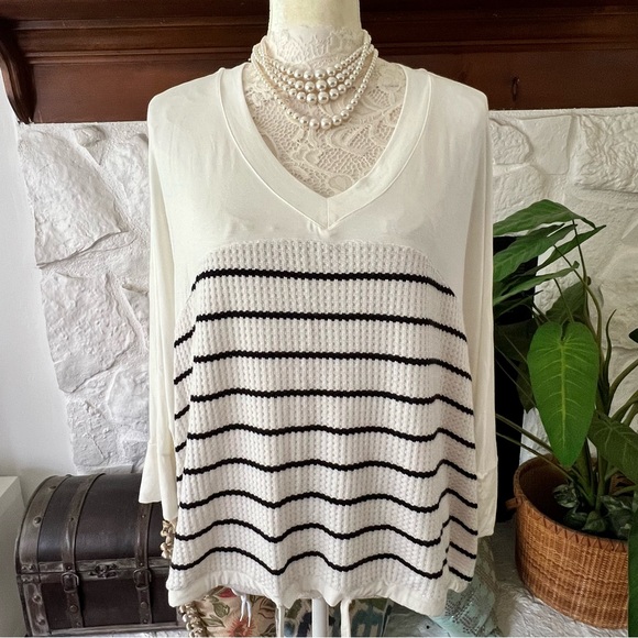 C&C California Sweaters - C&C California V-Neck Sweater - Black and Cream Size Medium NWOT